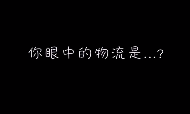 Logistics in Your Eyes（你眼中的物流）