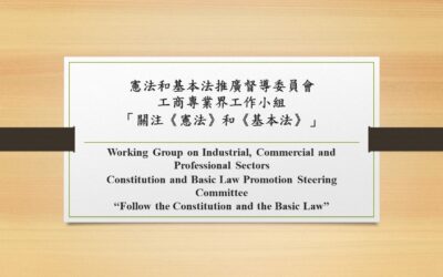 憲法和基本法推廣督導委員會工商專業界工作小組「關注《憲法》和《基本法》」